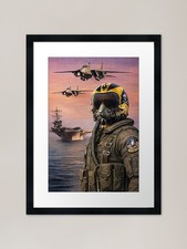 F-14 Tomcat Pilot ' Anytime