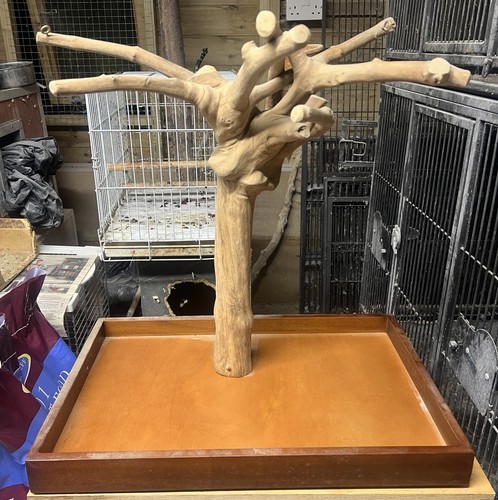 Natural java wood parrot mini - java,