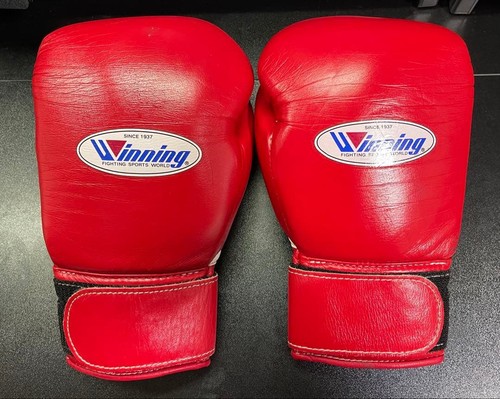 Winning 300b boxing - boxing, gloves