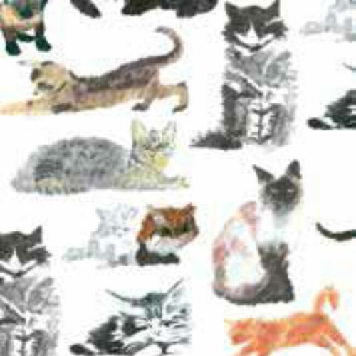 Cats kittens print - kittens, tissue
