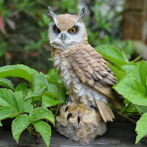 2026 cute owl resin figurine - owl,