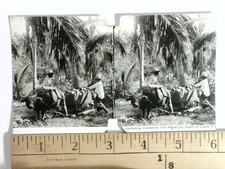 Original Vintage Stereoview