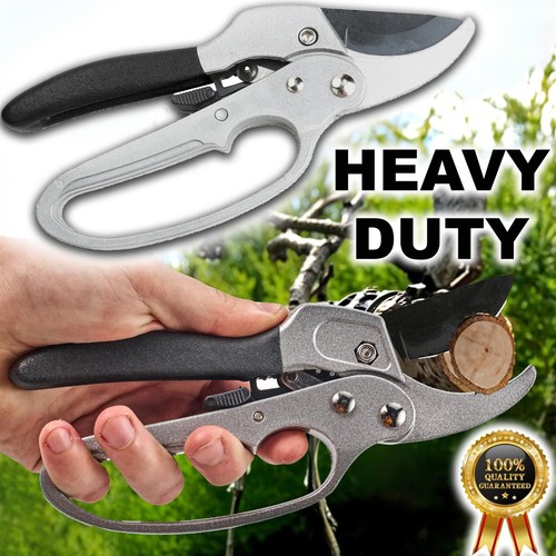 Ratchet anvil secateurs - ratchet,