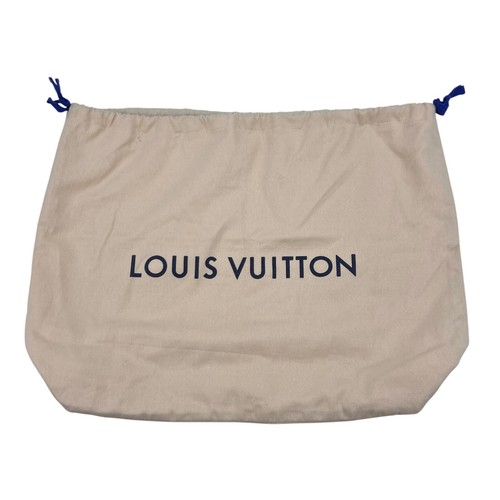 Louis vuitton dust - dust, bag