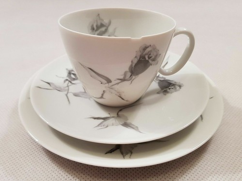 Rosenthal continental china - continental,