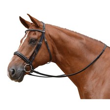 Albion competition cavesson - albion,