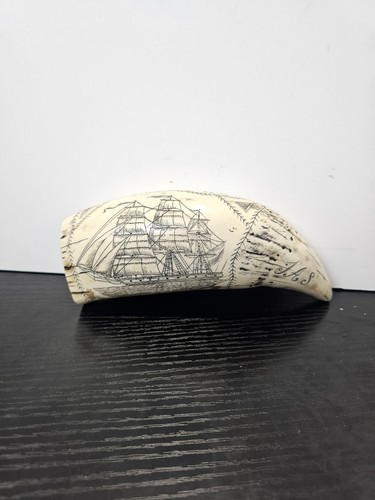 Scrimshaw sperm whale tooth - whale,
