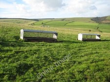 Photo 6x4 Sheep racks on