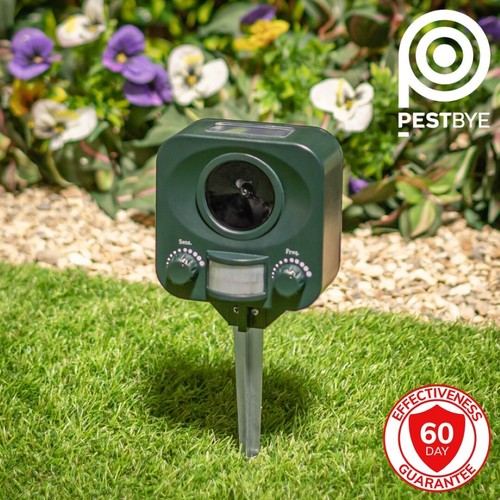 Ultrasonic solar cat repeller - cat,