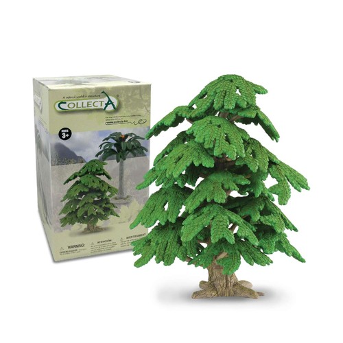 Collecta ginkgo biloba - collecta,