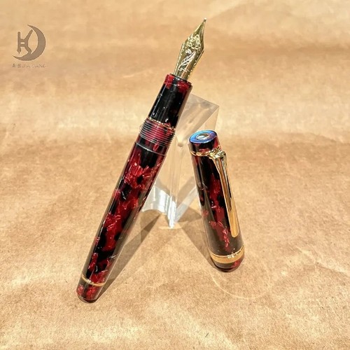 Fountain pen set medium nib - fountain,