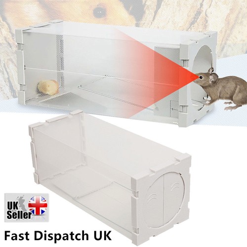 Auto mouse trap humane live - mouse,