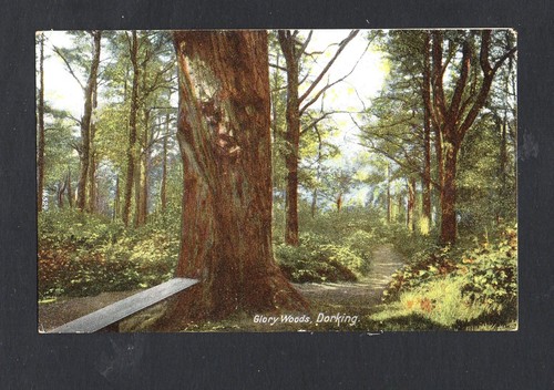 Old postcard glory woods - postcard:,
