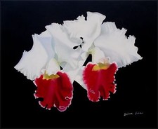 Quality Hand Painted Oil