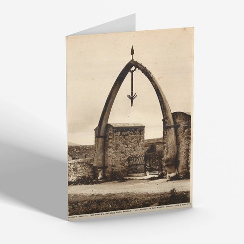 Greeting card vintage - greeting,