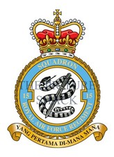 15 SQUADRON RAF REGT CREST ON