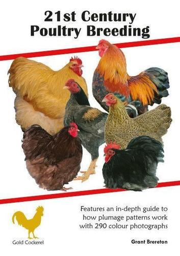 21st century poultry breeding - poultry,