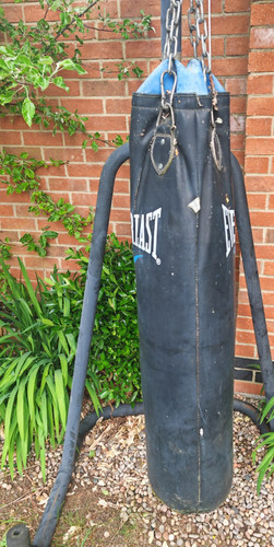 Everlast hanging boxing - hanging,