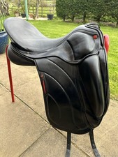 Albion Revelation Dressage