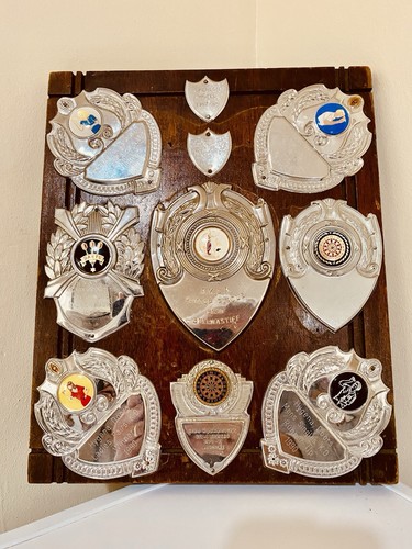 Big trophy shield 12 - trophy, 12”