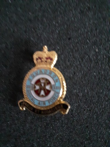 Raf squadron xxii pin badge - pin,