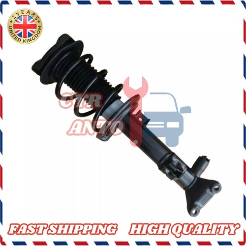 Front left shock strut - shock, assys