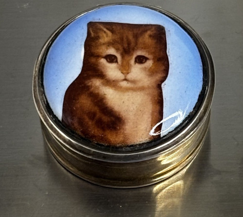 Antique cat enamel sterling - antique,