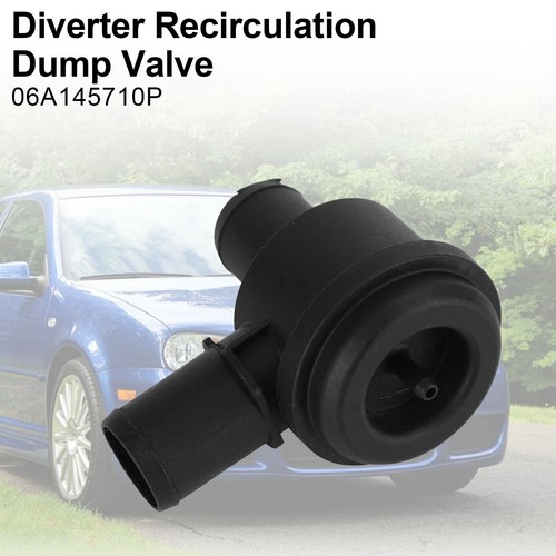 Diverter recirculation dump - diverter,