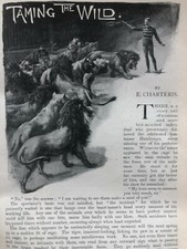Wild Animal Taming Seeth Pezon