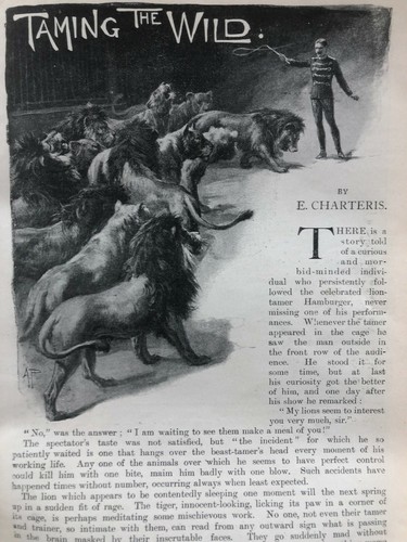 Wild animal taming seeth pezon - wild,
