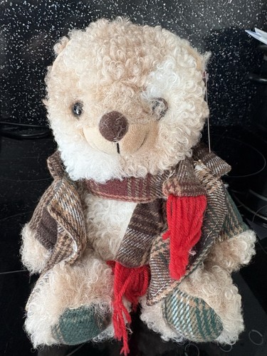 Cute quality scottish - scottish, teddy