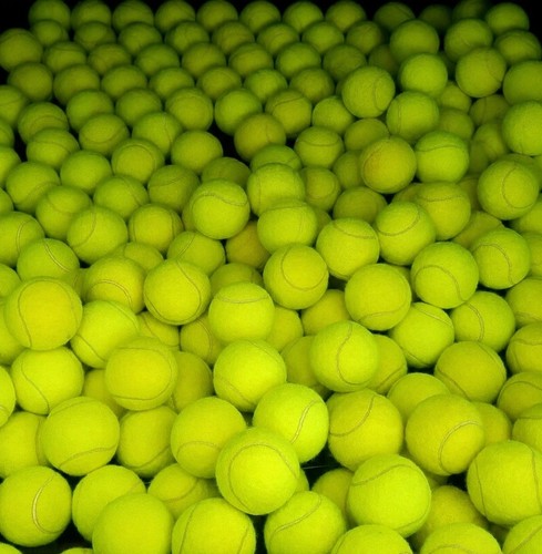 Used tennis balls for dogs - balls,