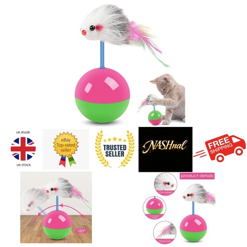 Teasing cat toy - toy,