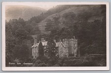 Vintage Postcard Forest Side