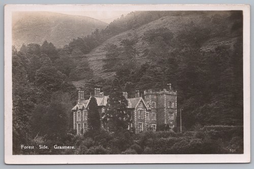 Vintage postcard forest side - postcard,