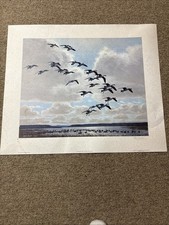 Peter scott signed limited - scott,