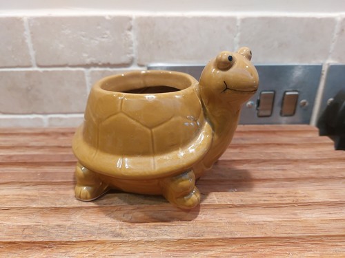 Tortoise turtle ceramic - turtle,