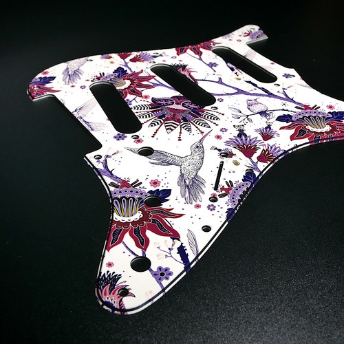 Fender strat pickguard - pickguard, •