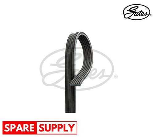 Ribbed belts for - v-ribbed,