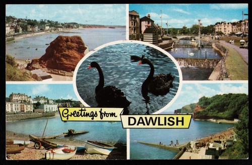 Greetings from dawlish - from, black