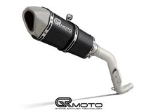 Exhaust for Triumph TIGER 1050