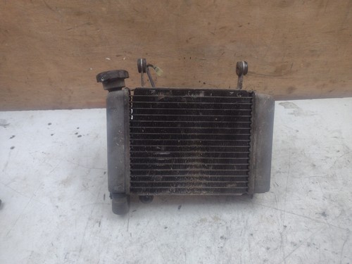 Honda cbr 125 2014 - cbr, radiator
