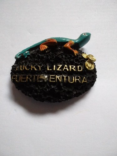 Lucky lizard fuerteventura - lizard,