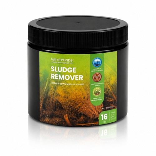 Half off ponds - half, sludge
