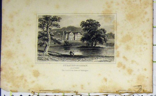 Old antique print duke - old,