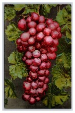 Cluster of Flamingo Table