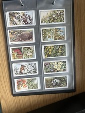 Collection of Cigarette Cards