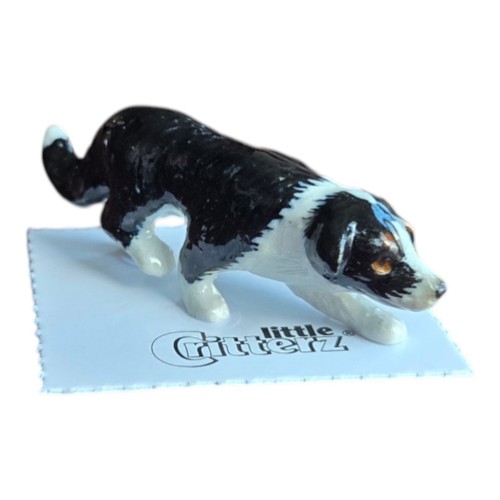 Little critterz dog - critterz, border