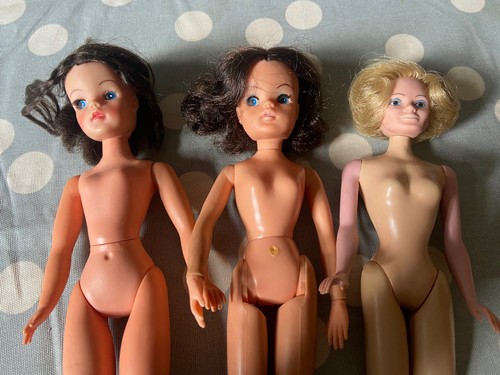 Vintage sindy dolls plus - x,