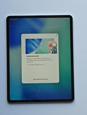 iPad Pro 12.9'' 4th Gen Silver